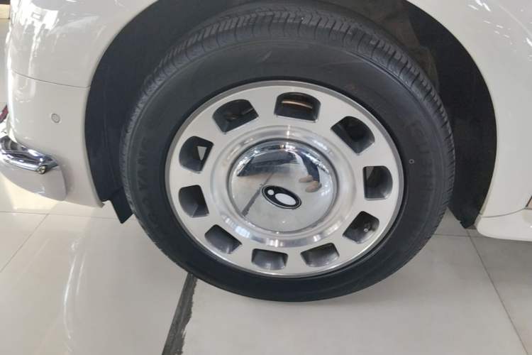 Used ORA Ballet Cat 2022 500 km Swan Lake Edition