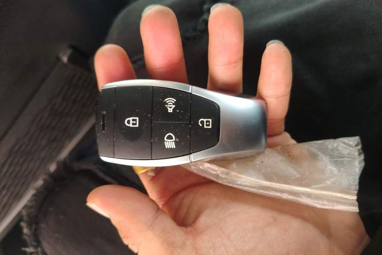 Used BAIC Off-Road BJ40 2023 2.0T Automatic Four-Wheel Drive Urban Hunter Edition Chivalrous Type
