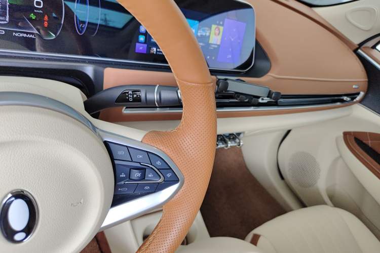 Used ORA Good Cat 2023 401 km Standard Range Premium Trim Ternary Lithium Gear Lever