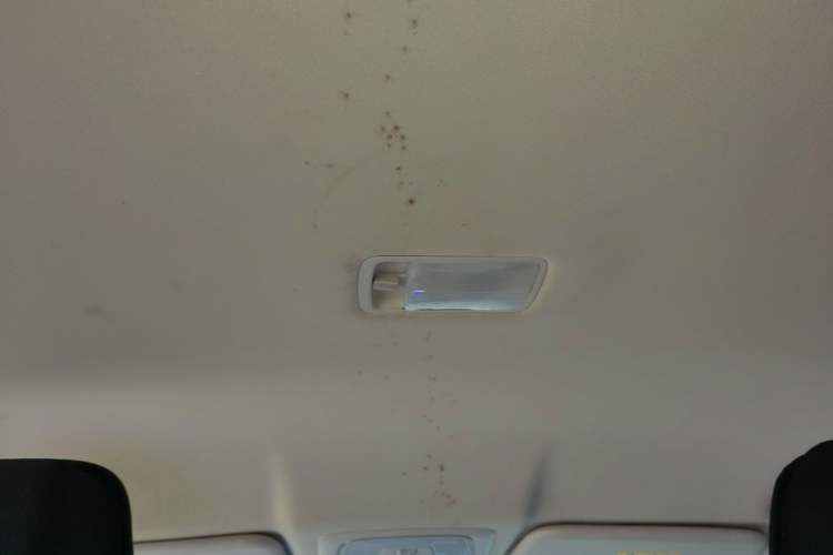 Used Venucia D60 2019 100 000 Glory 1.6L Entry Manual ChenShang Edition China VI
