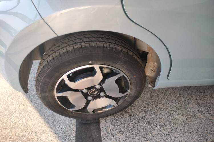 Used SOL E10X 2022 Flower Fairy Style Baby's Breath
