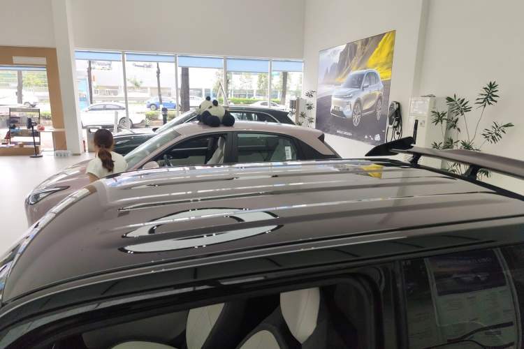 Used Geely Galaxy Panda 2025 210km Panda Kart