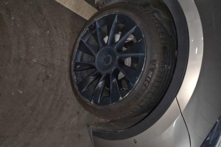 Used Tesla Model Y 2021 Standard Range Rear-Wheel Drive Version