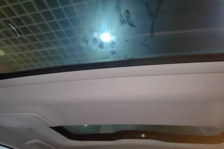 Used BMW 5 Series New Energy 2019 530Le Luxury Package Headliner