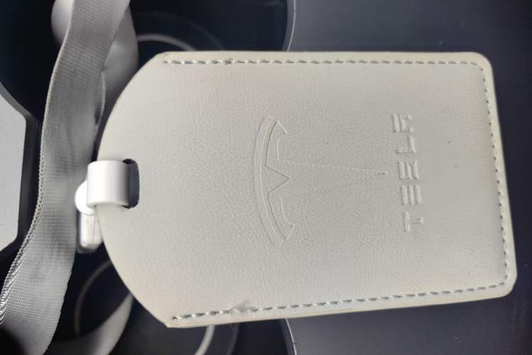 Used Tesla Model 3 2021 Standard Range Rear-Wheel Drive Upgraded Version 3D6
