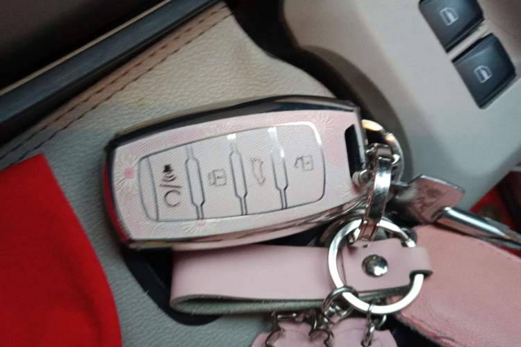 Used ORA Black Cat 2019 351 km Goddess Edition
