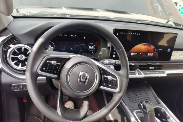 Used Tank 400 2025 2.0T Gasoline Version