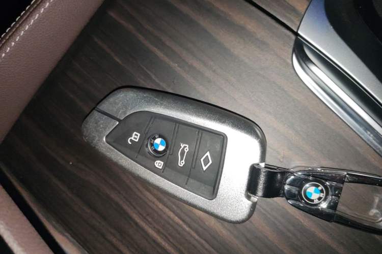 Used BMW 5 Series New Energy 2021 535Le Luxury Package