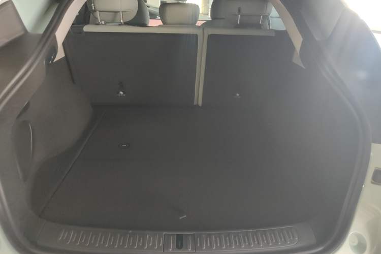 Used IM LS6 2023 Max Extended-Range Version