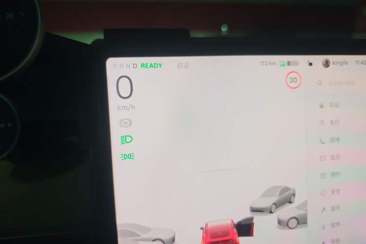 Used Tesla Model Y 2021 Standard Range Rear-Wheel Drive Version
