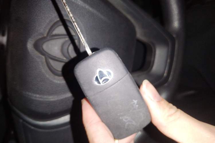 Used Chana Ruixing EM80 2025 Passenger Version Comfort Edition 6-Seater 300 km Dual-Swing Doors
