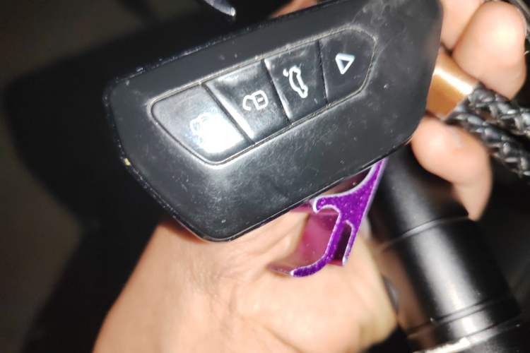 Used Roewe RX5 MAX 2019 300TGI Automatic 4G Connect Luxury Edition
