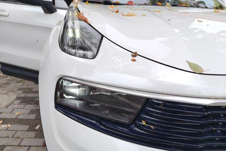 Used Lynk & Co 01 2020 2.0T Two-Wheel Drive Pure Pro Version China VI Standard