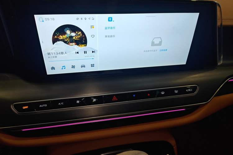 Used Hongqi H9 2024 2.0T Qixiang Private Style Edition Audio And AC Panel