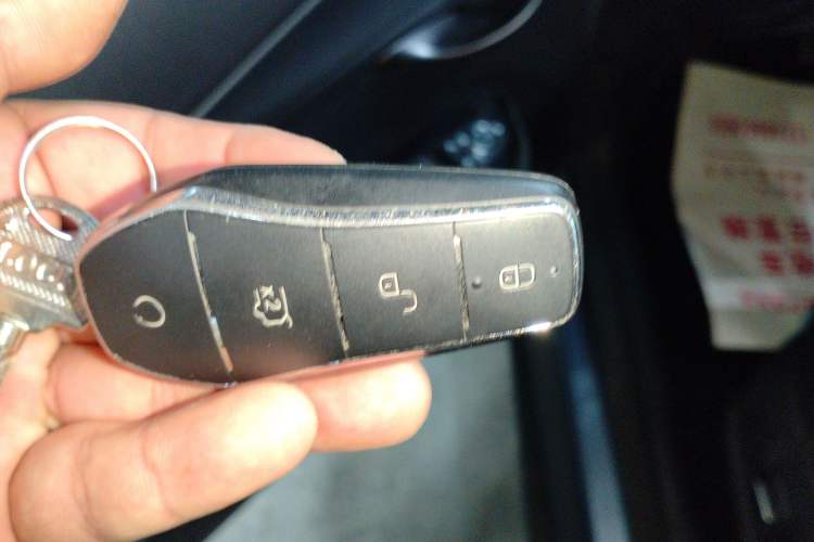 Used BYD Dolphin 2025 Intelligent Driving Version 410 km Fashion Edition Vehicle Key