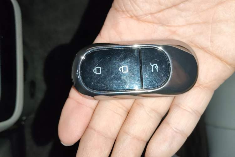 Used Leapmotor C11 2023 Pure Electric 500 Comfort Edition
