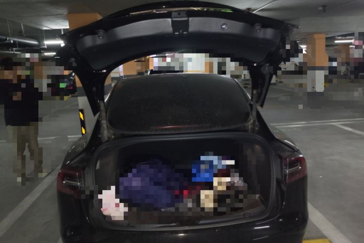 Used Tesla Model 3 2022 Rear-Wheel-Drive Version