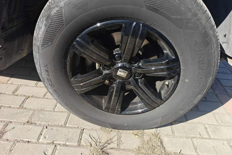 Used Tank 300 2024 2.0T Conqueror
