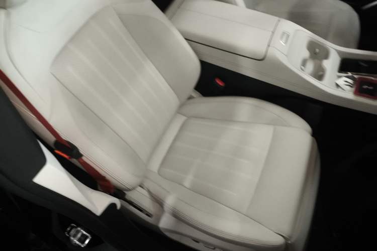 Used ONVO L60 2024 60 kWh Rear-Drive Version
