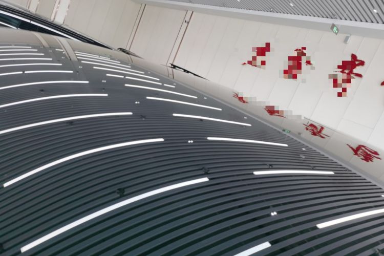 Used Li Auto L8 2024 Pro Model
