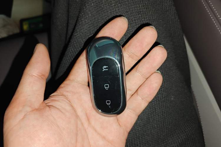 Used Leapmotor C11 2023 Pure Electric 500 Comfort Edition