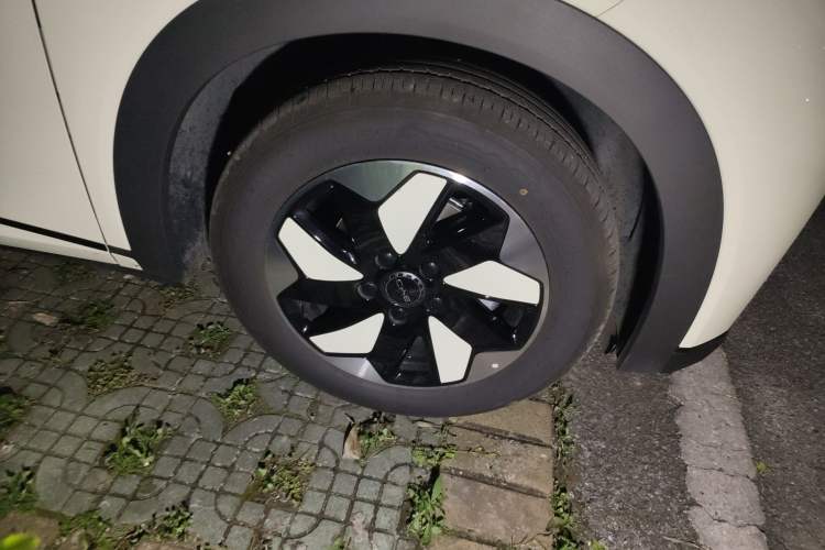 Used BYD Dolphin 2025 420km Free Edition Right Front Wheel Hub