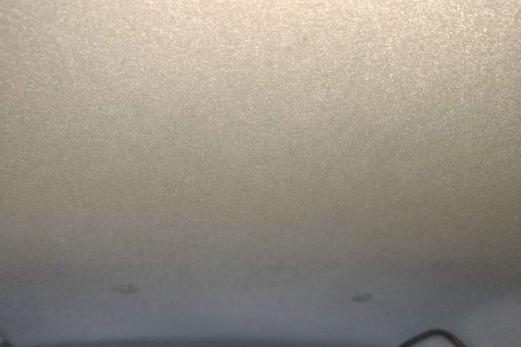 Used ORA Black Cat 2021 351 km Luxury Version