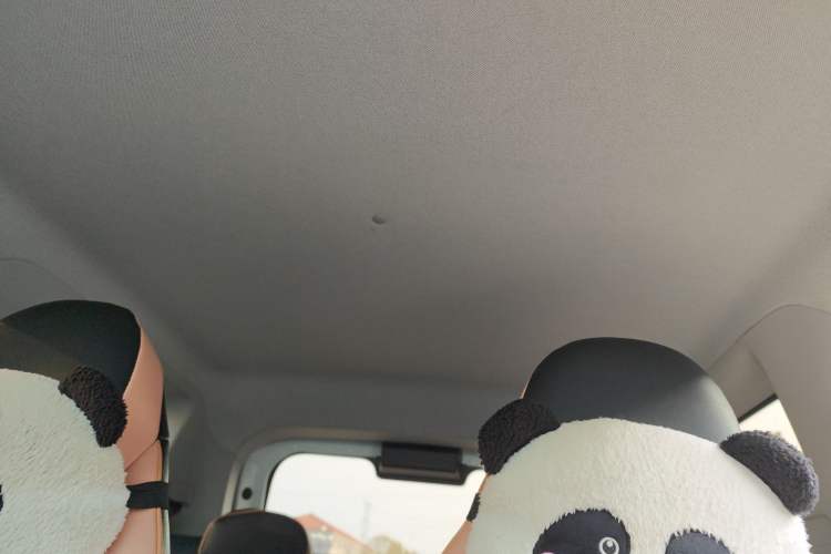 Used Geely Galaxy Panda 2023 Panda Mini 200km Endurance Bear Headliner