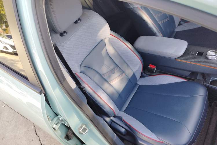 Used Geometry E Firefly 2023 401KM Linglong Tiger 5-Seater
