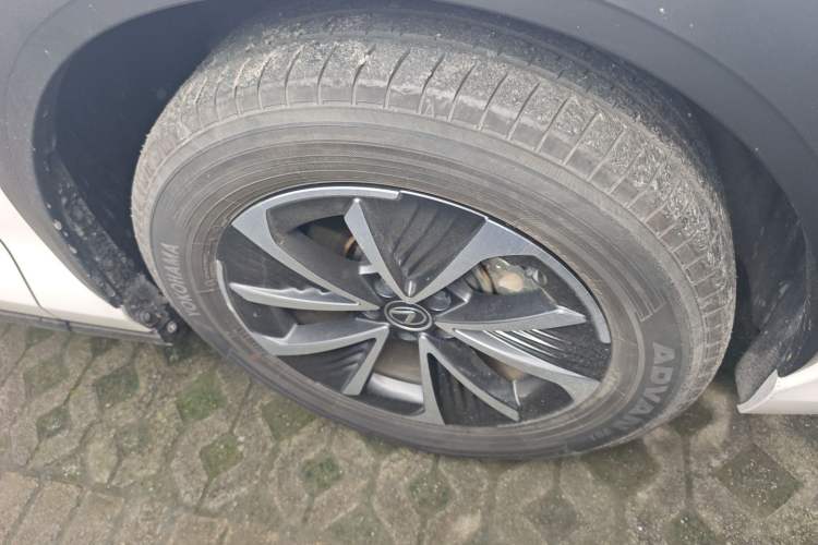 Used Lexus RZ 2023 450e All-Wheel Drive Luxury Edition Exterior 4