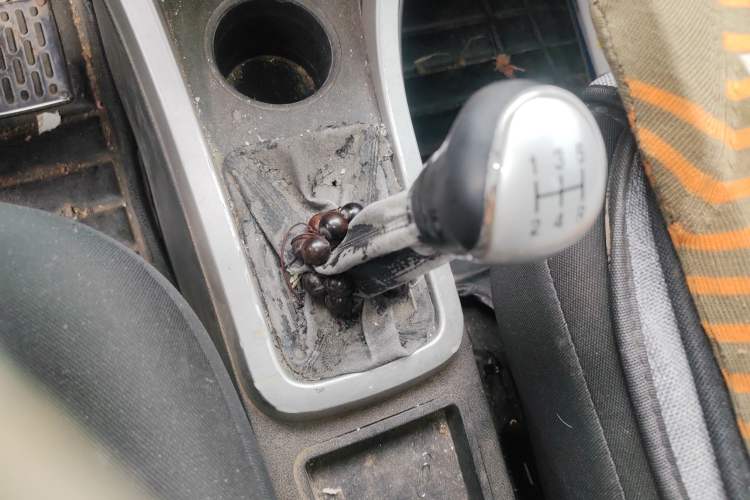 Used Zxauto C3 2014 1.5L Manual Business Edition