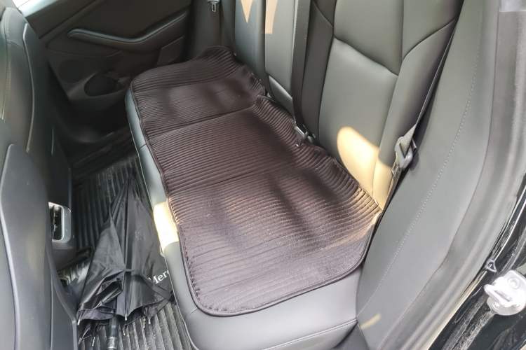 Used Tesla Model 3 2021 Standard Range Rear-Wheel Drive Upgraded Version 3D6