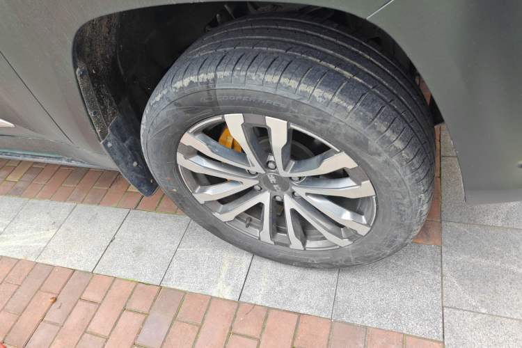 Used BAIC Off-Road BJ60 2022 2.0T Version 11 Five Seats
