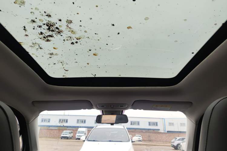 Used Leapmotor T03 2021 400 Luxury Edition