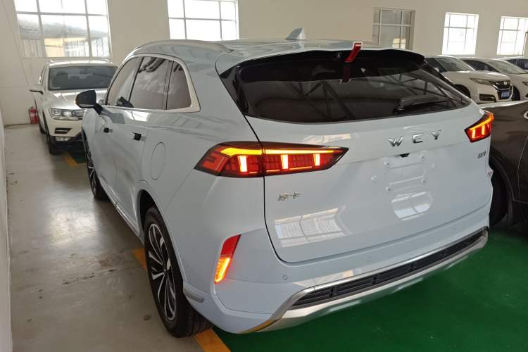 Used Wey Mocha 2021 2.0T Two-Wheel-Drive Premium Edition
