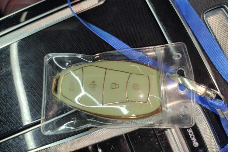 Used Hongqi HS5 2023 2.0T Qixiang Pro Edition