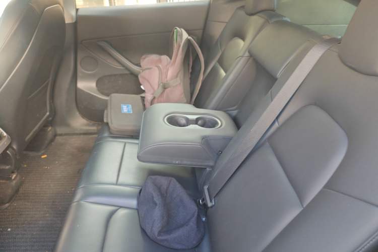 Used Tesla Model Y 2021 Standard Range Rear-Wheel Drive Version
