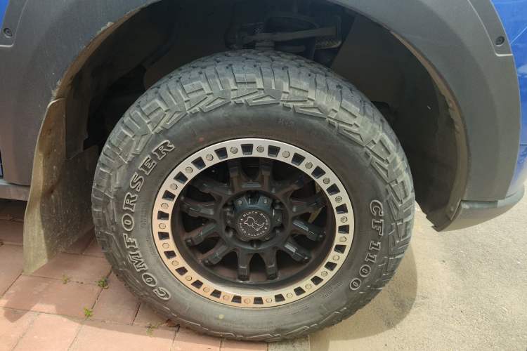 Used Great Wall Poer 2019 2.0T Commercial Version Manual Gasoline 4x4 Elite Long-Box GW4C20B