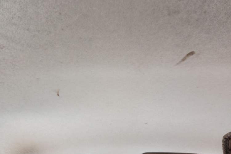 Used Geely Auto Diamond 2014 Sedan 1.5L Manual Entry-Level Model
