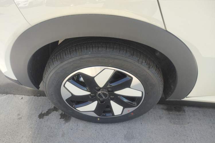 Used BYD Dolphin 2025 420km Free Edition Right Rear Wheel Hub