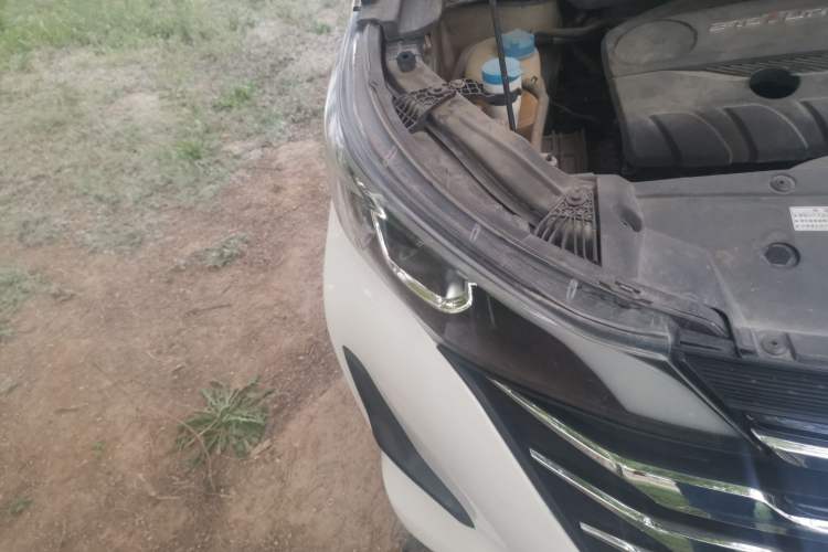 Used GAC Trumpchi M6 2019 270T DCT Luxury Edition (7-seater) China VI
