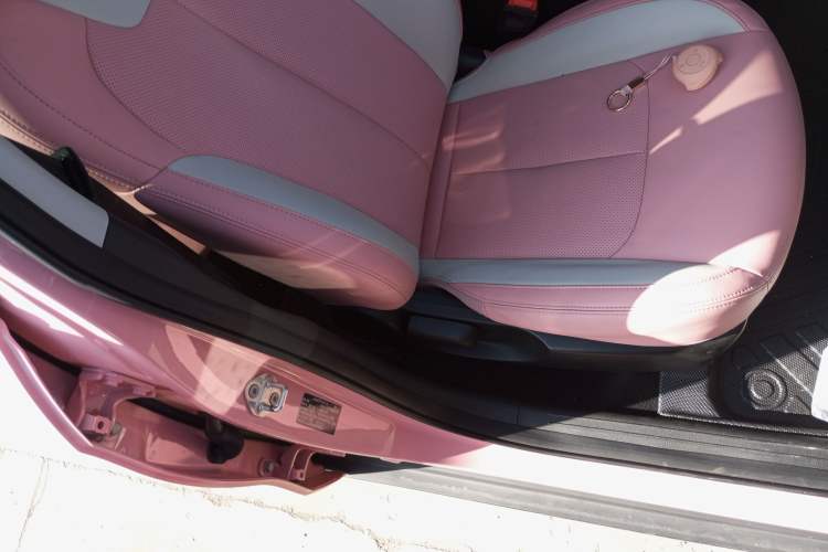 Used NETA V 2022 Chao 400 Lite Pink Custom Edition Right Front Seat