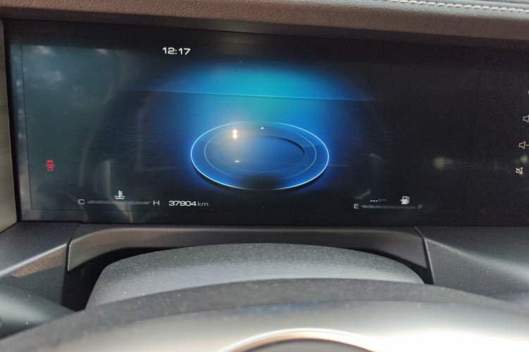 Used Tank 300 2021 City Edition 2.0T—Truly Stylish