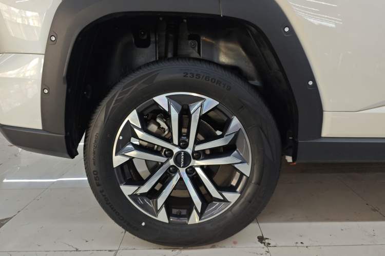 Used Haval H Dog 2023 2.0T Two-Wheel Drive Chaoye Version Plus
