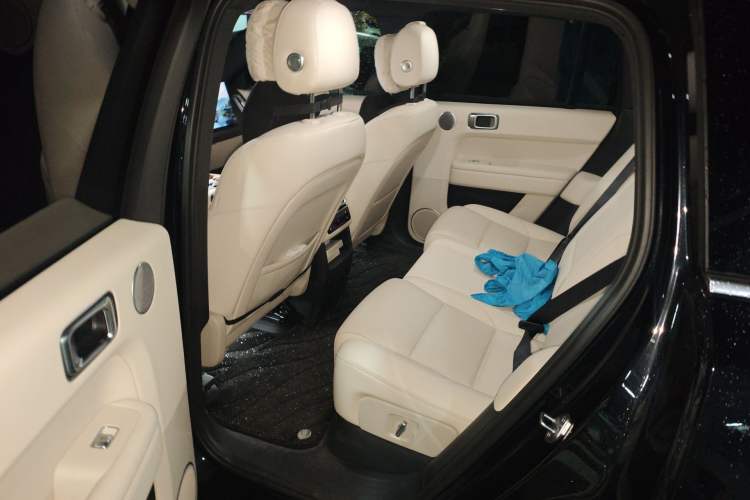 Used Li Auto L6 2024 Pro Model Left Rear Seat