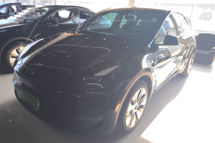 Used Tesla Model Y 2021 Standard Range Rear-Wheel Drive Version
