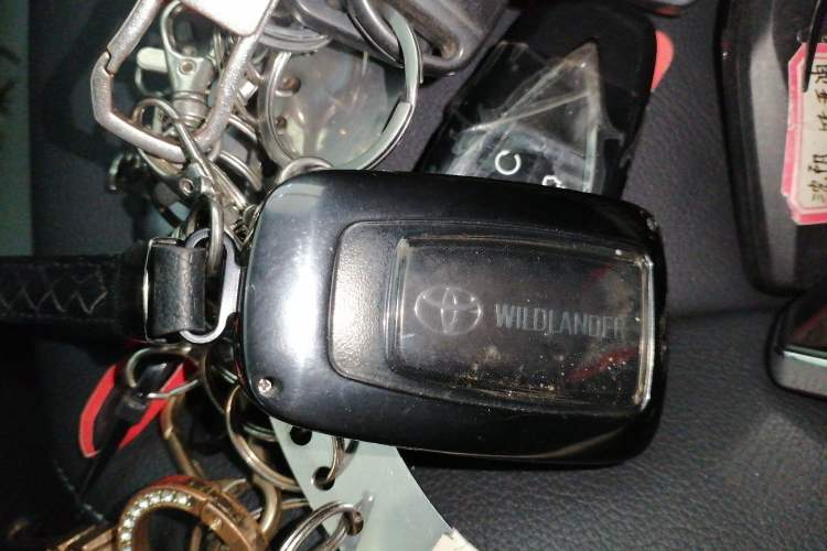 Used Toyota Wildlander 2020 2.0L CVT 4x4 Luxury Edition