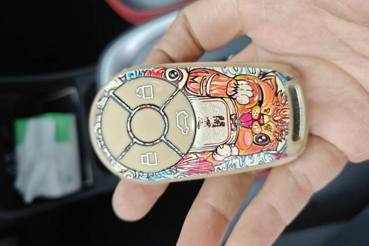 Used ORA Good Cat GT 2022 Mulan Edition 480km Long-Range续航