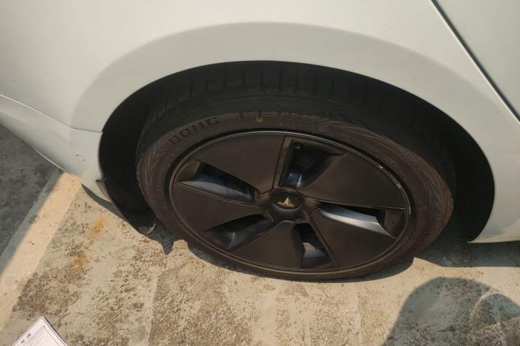 Used Tesla Model 3 2021 Standard Range Rear-Wheel Drive Upgraded Version 3D6 Exterior 5