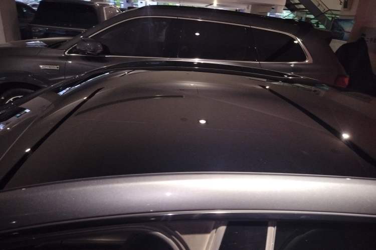 Used XPeng P7 2020 670N Roof